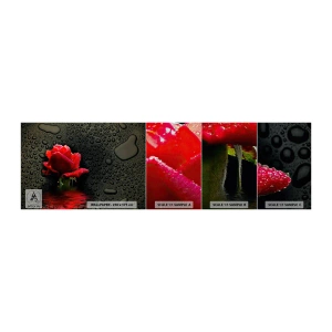 Fotobehang Monster Premium Sand - Rood en zwart - Bloemen, Roos, Water - 100x30 cm