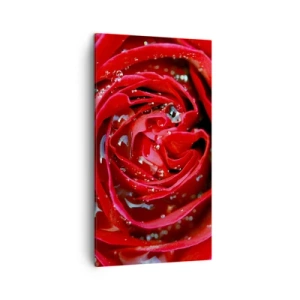 Schilderen op canvas - In de dauwdruppels - 45x80 cm