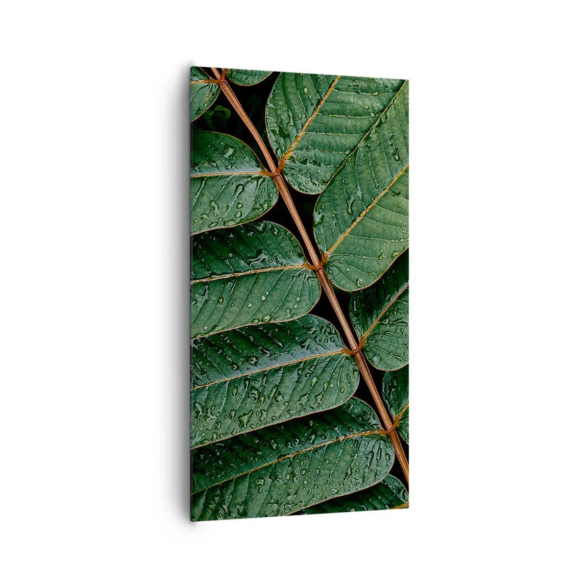 Schilderen op canvas - In een groen ritme - 65x120 cm