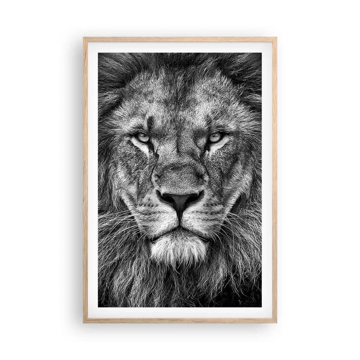 Een poster in een licht eiken lijst - In een kroningskleed - 61x91 cm