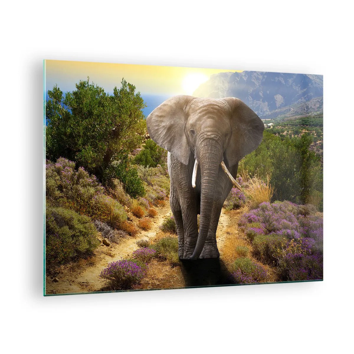 Schilderen op glas - Een olifant tegen een berglandschap bij zonsondergang - 70x50cm - Zo zag Eden eruit - Moderne wanddecoratie voor woonkamer en slaapkamer ARTTOR