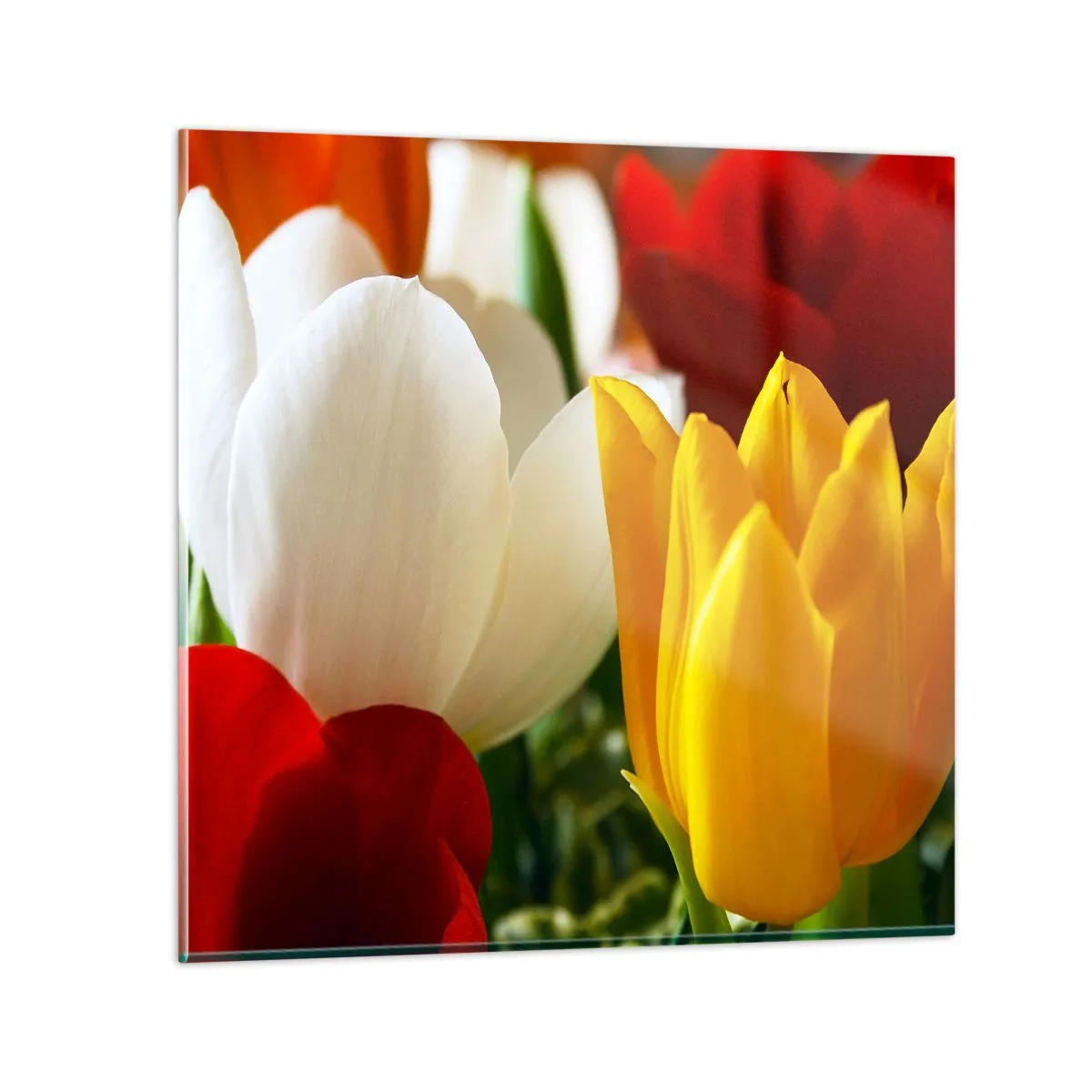 Schilderen op glas - Tulpenkoorts - 60x60 cm