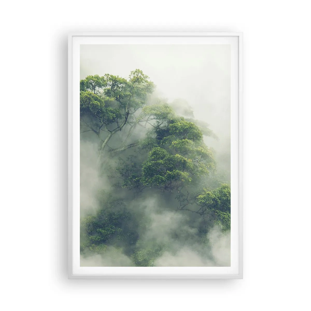 Poster in een witte lijst - In mist gehuld - 70x100 cm