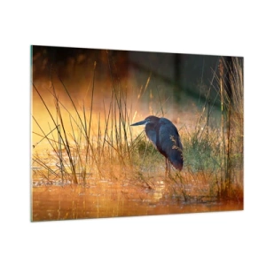 Schilderen op glas - Kom op, geef me een pauze met deze foto's - 100x70 cm