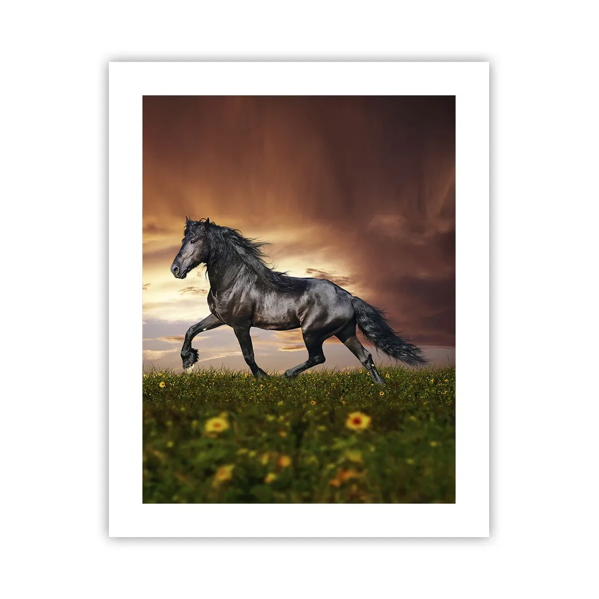 Poster - Zwarte Prins - 40x50 cm