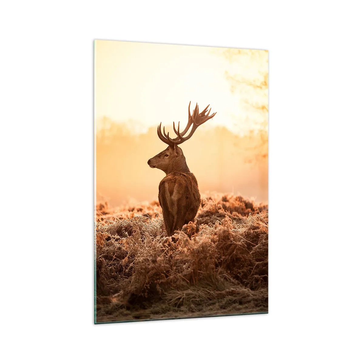 Schilderen op glas - Heer van het landgoed - 70x100 cm