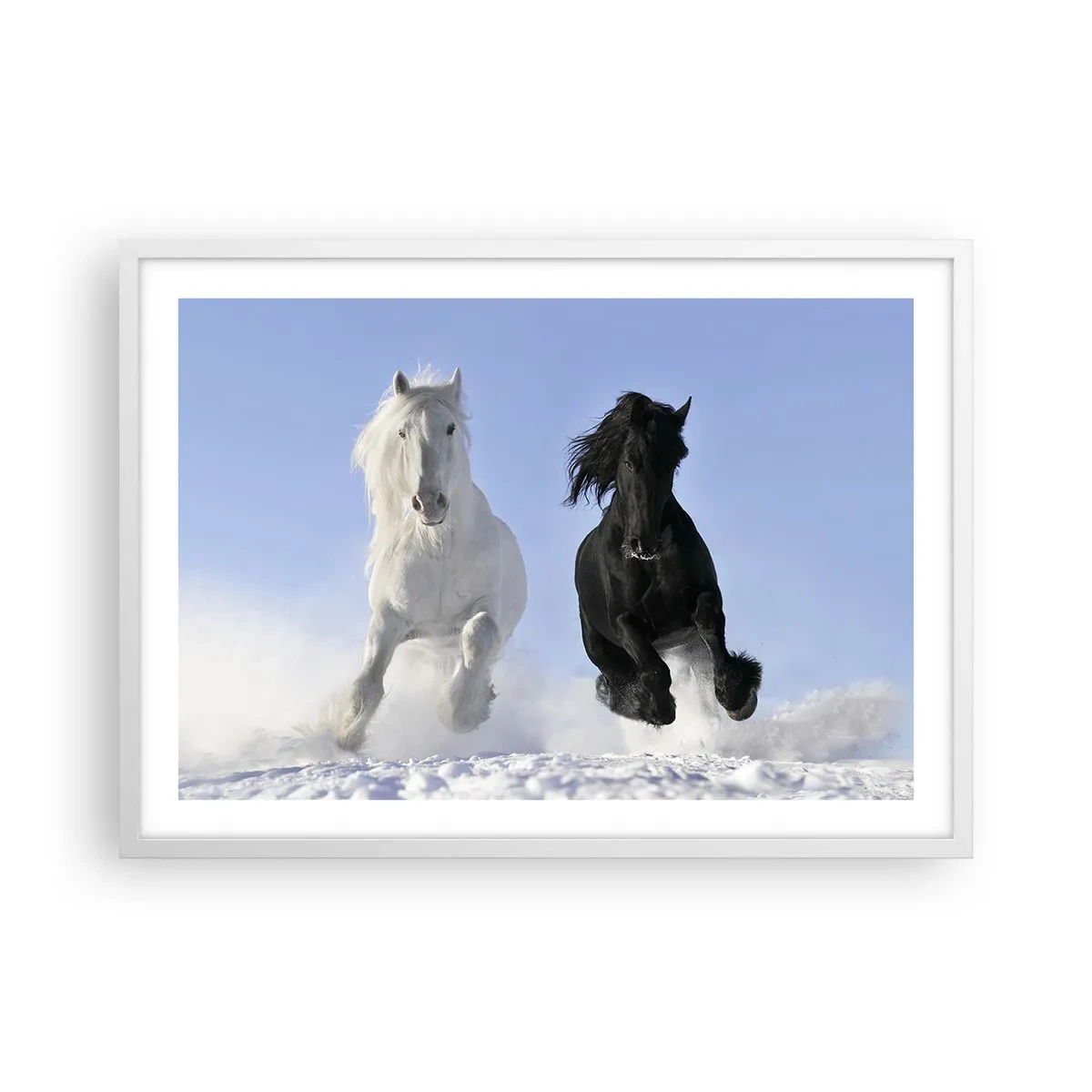 Poster in een witte lijst - Zwart-wit galop - 70x50 cm