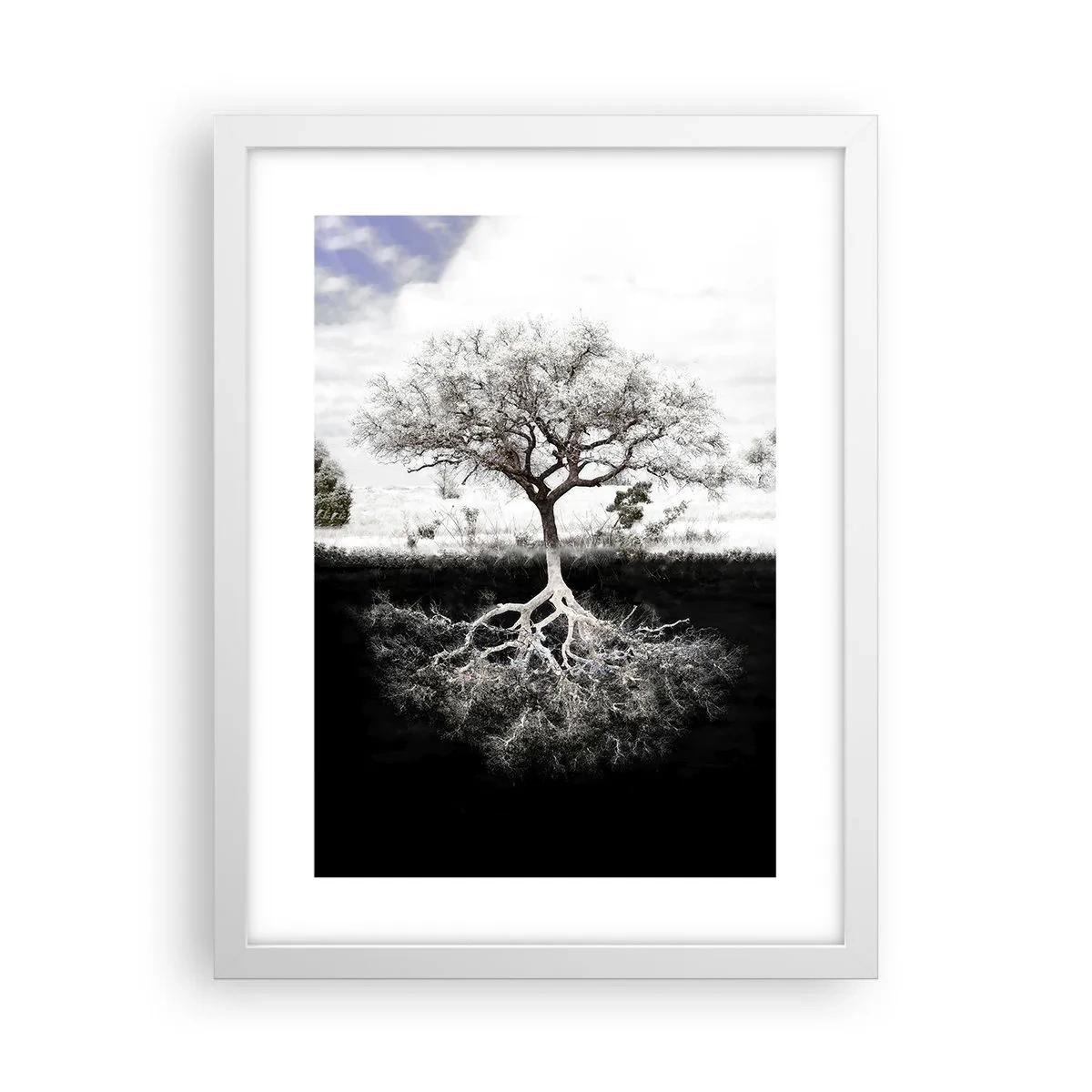 Poster in een witte lijst - De natuur van de wereld ontdekken - 30x40 cm