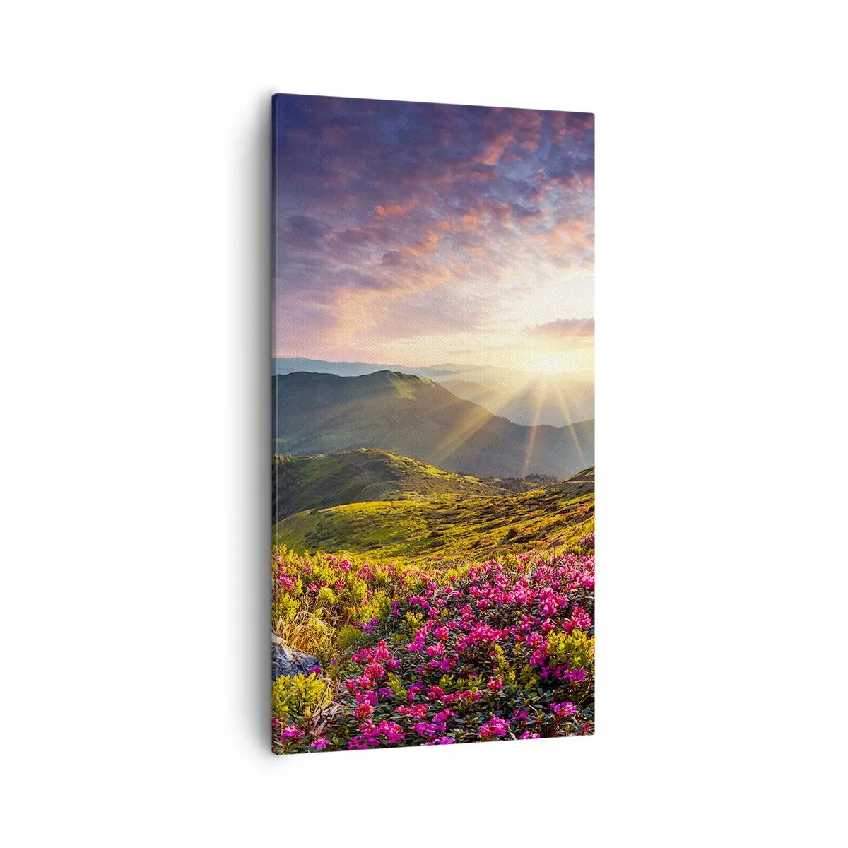 Schilderen op canvas - Frisheid in de ochtend in de bergen - 55x100 cm