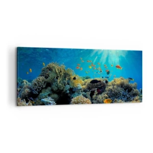 Schilderen op canvas - Onderwater schatten - 100x40 cm