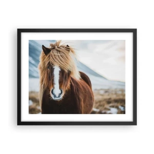 Poster in een zwarte lijst - Voel jij je vrij? - 50x40 cm