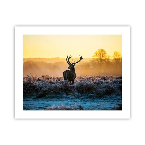 Poster - Gekroond op zijn landgoed - 50x40 cm
