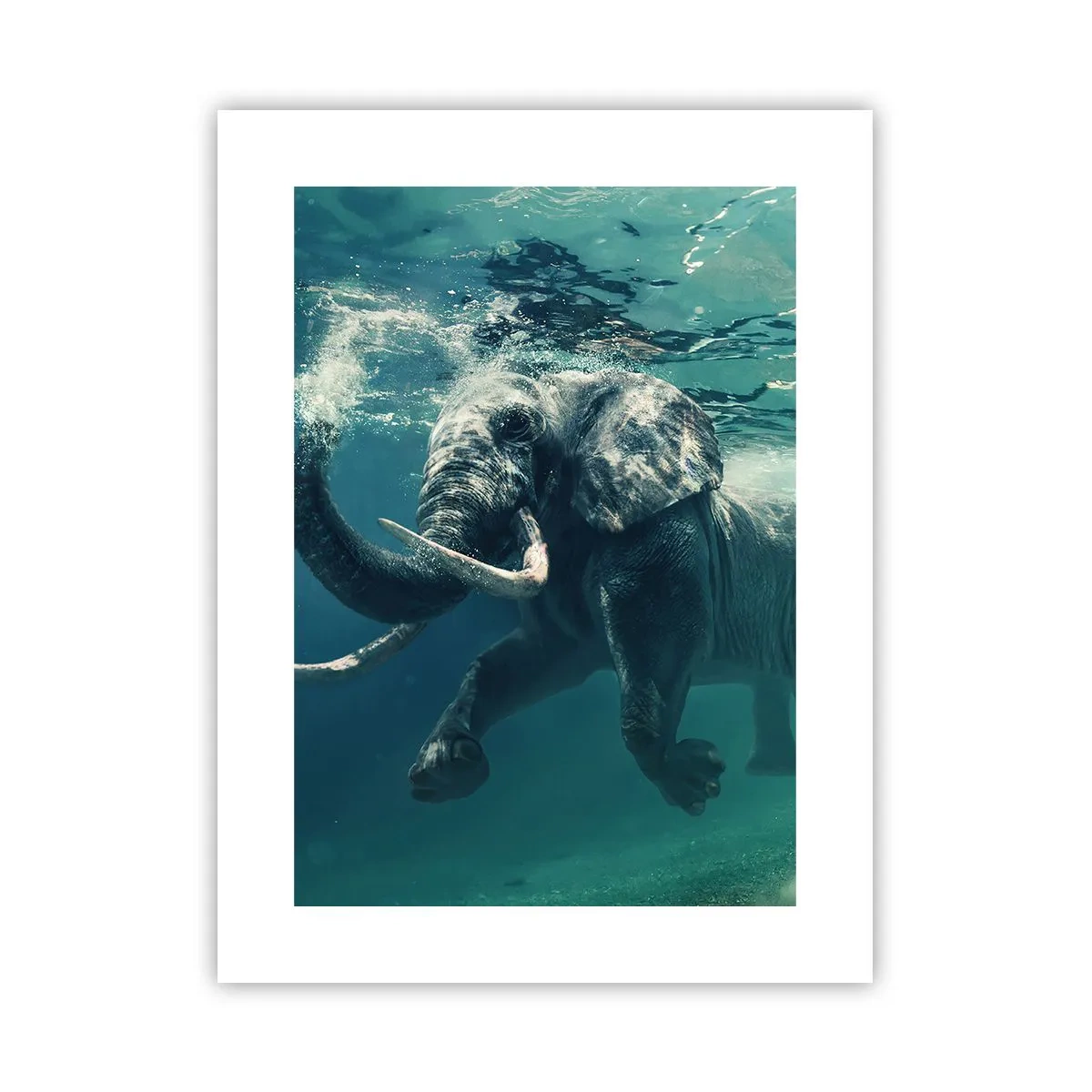 Poster - Iedereen houdt van zwemmen - 30x40 cm