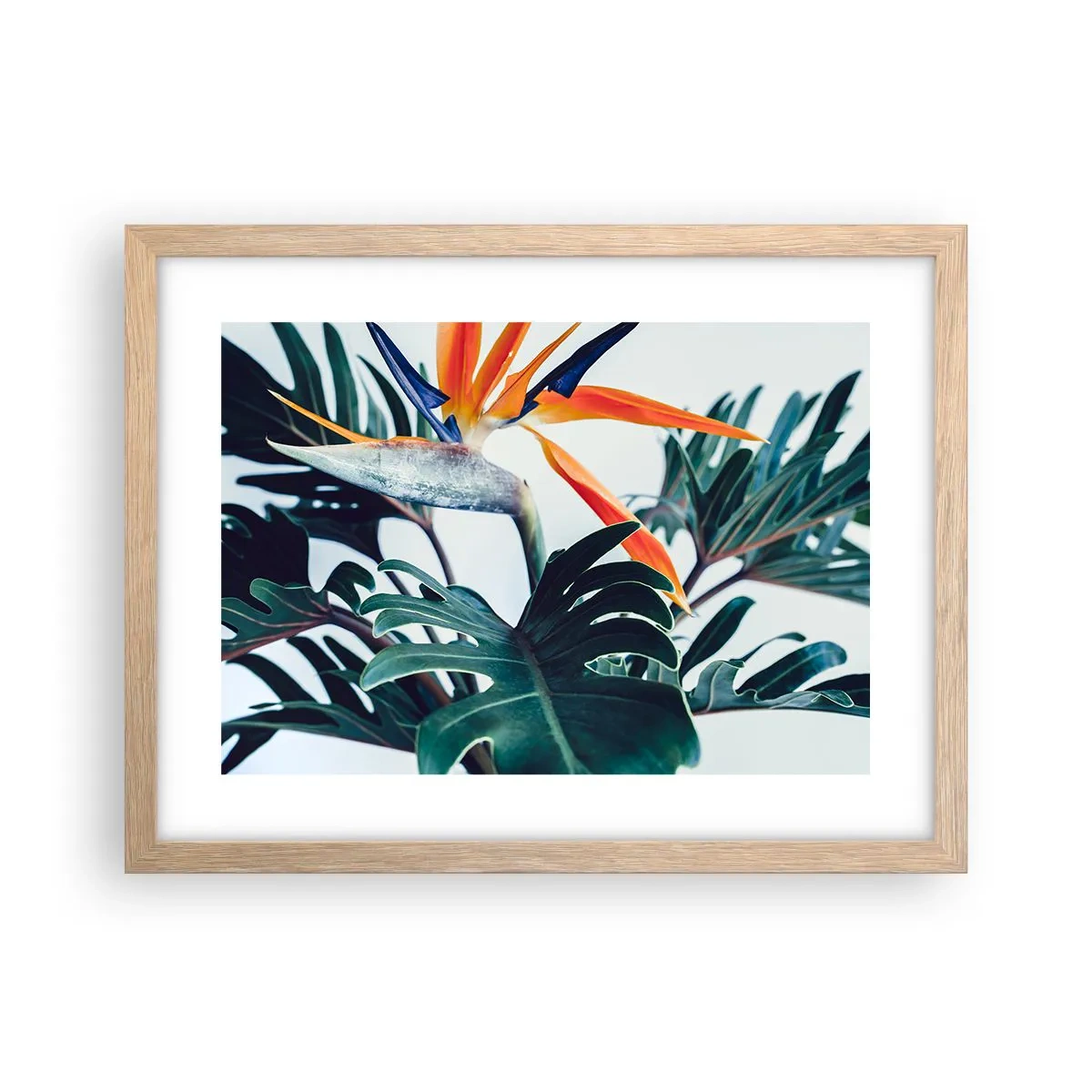 Een poster in een licht eiken lijst - Vogelstruik - 40x30 cm