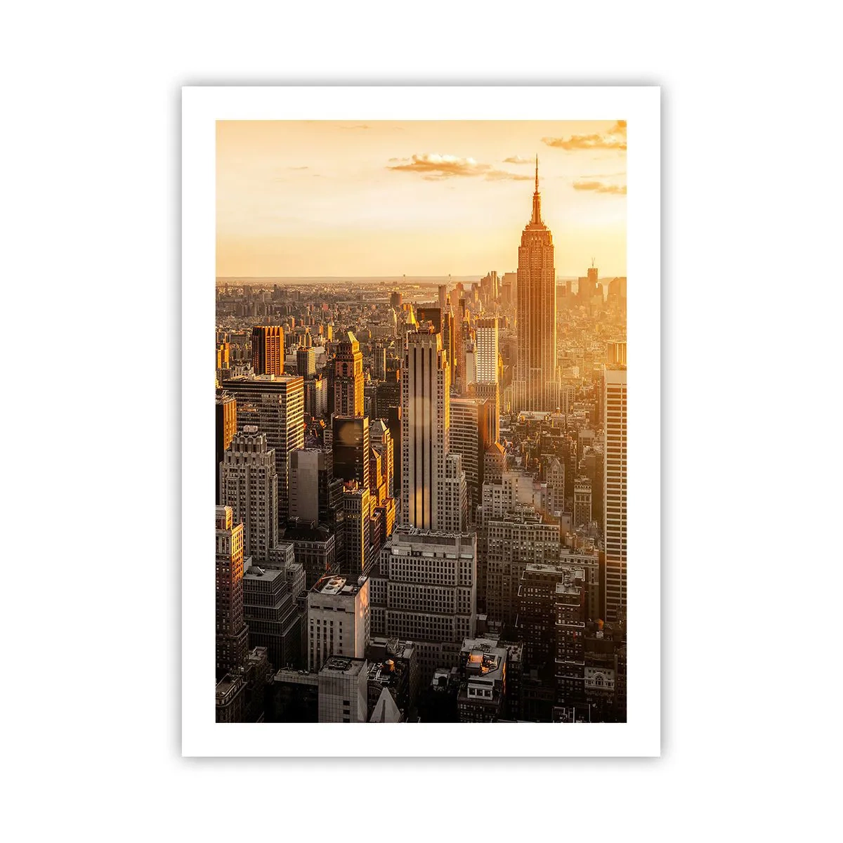 Poster - Groeien in de zon - 50x70 cm