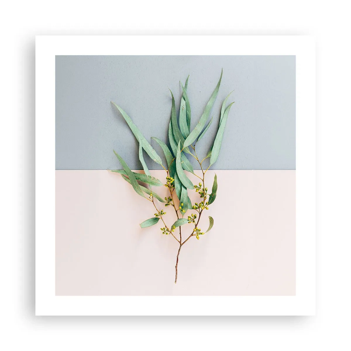 Poster - Subtiliteit in pastelkleuren - 50x50 cm