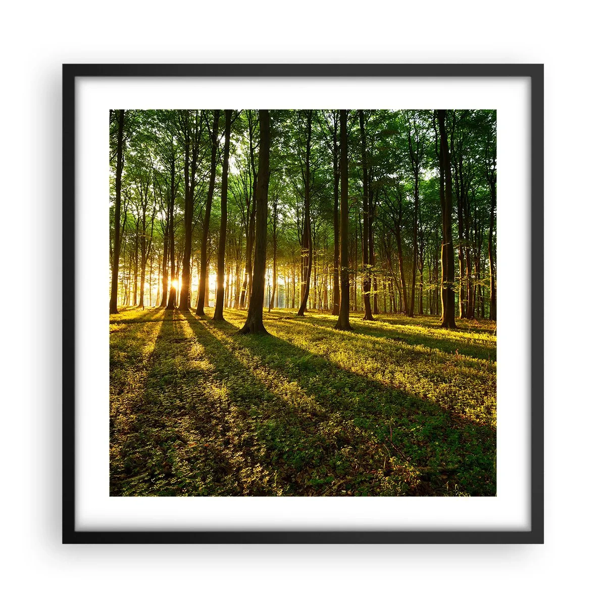 Poster in een zwarte lijst - Foto van de hele lente - 50x50 cm