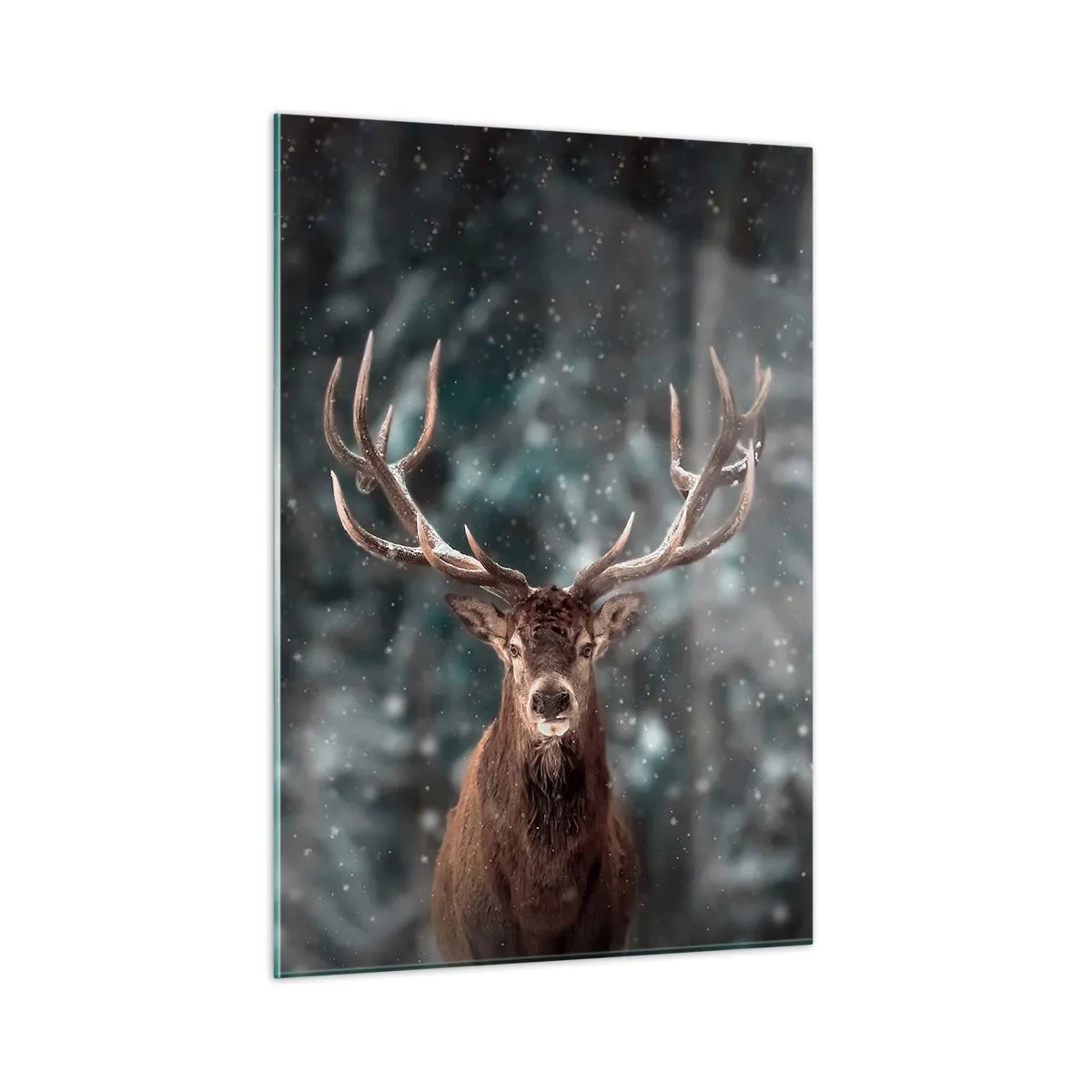 Schilderen op glas - Gekroond tot koning van het bos - 50x70 cm