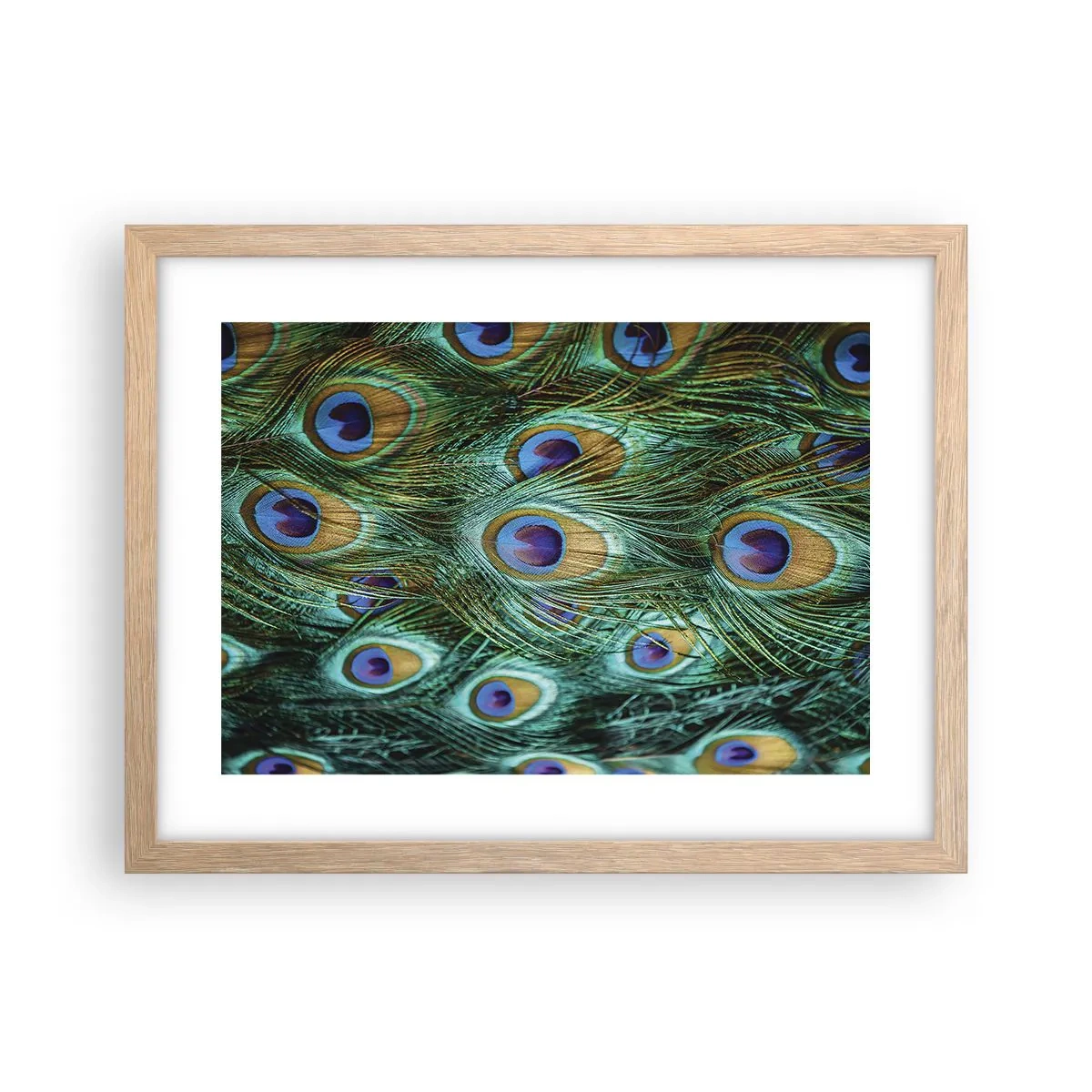 Een poster in een licht eiken lijst - Een pauwenooglook - 40x30 cm