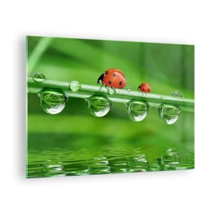 Schilderen op glas - Lieveheersbeestjes op een grassprietje met dauwdruppels en weerspiegeling in het water - 70x50cm - De hele zomer onderweg - Moderne wanddecoratie voor woonkamer en slaapkamer ARTTOR