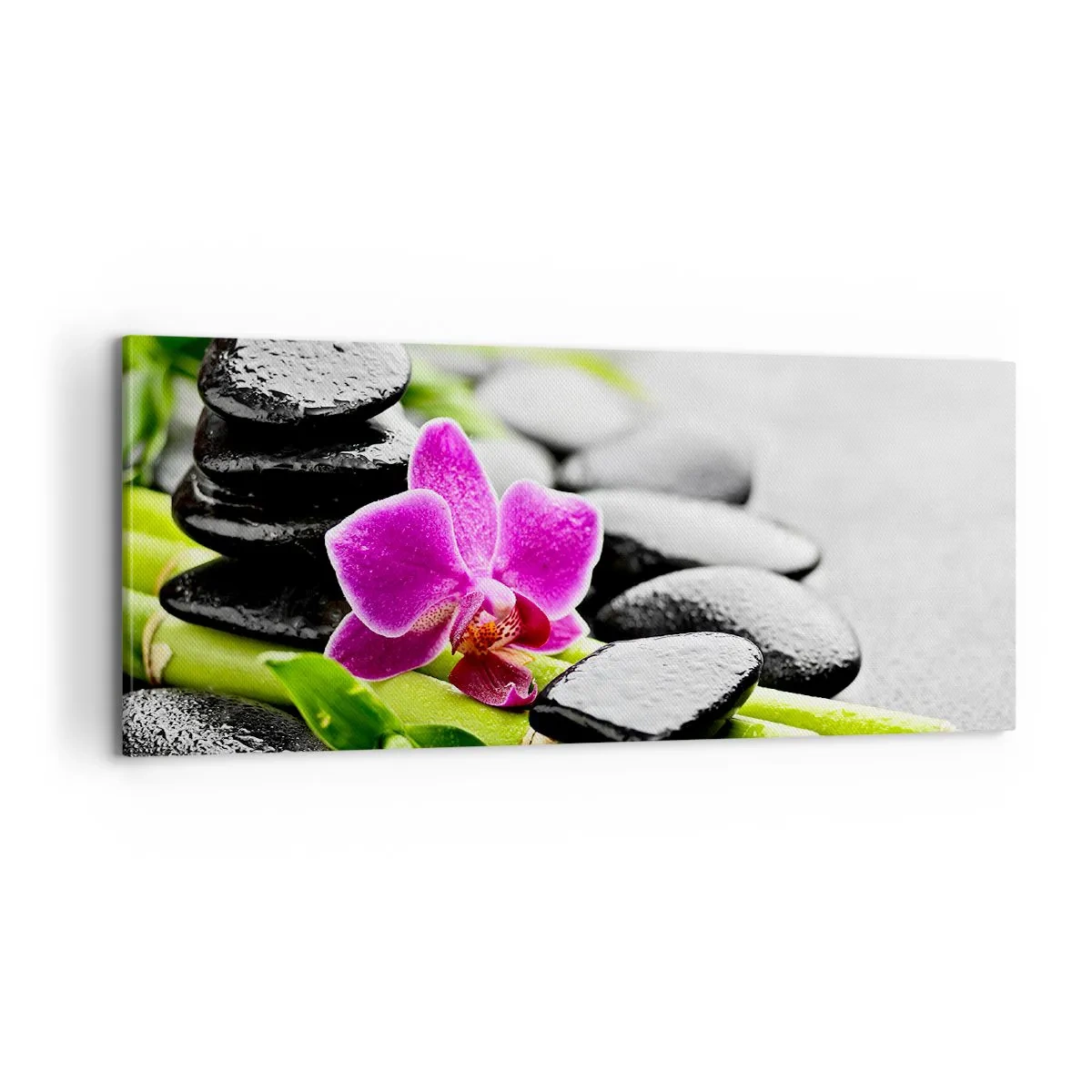 Schilderen op canvas - In een vrede evenwicht - 100x40 cm