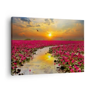 Schilderen op canvas - Een veld met roze waterlelies bij zonsondergang - 70x50cm - Het geheime leven van het meer - Moderne wanddecoratie voor woonkamer en slaapkamer ARTTOR