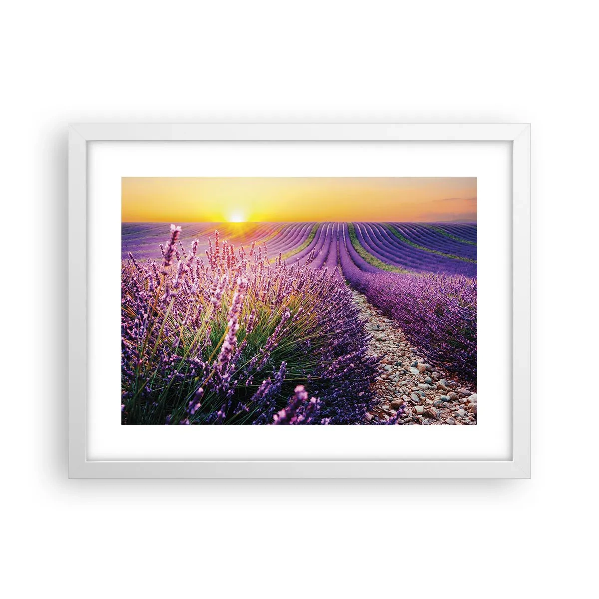 Poster in een witte lijst - Geurige korenvelden - 40x30 cm