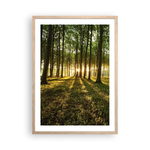 Een poster in een licht eiken lijst - Foto van de hele lente - 50x70 cm