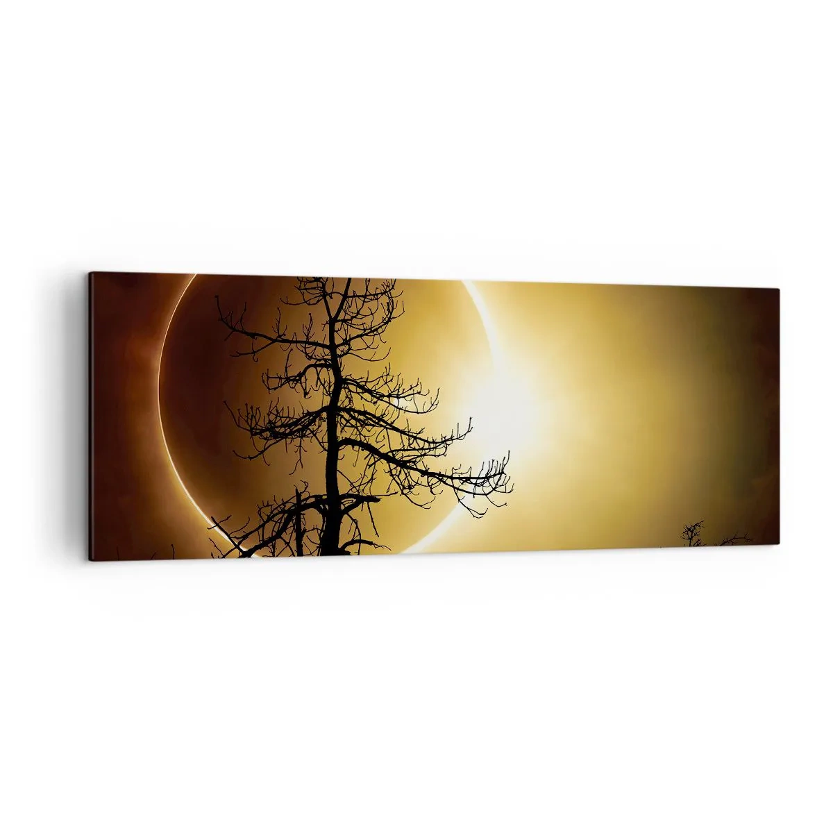 Schilderen op canvas - Totale zonsverduistering - 140x50 cm