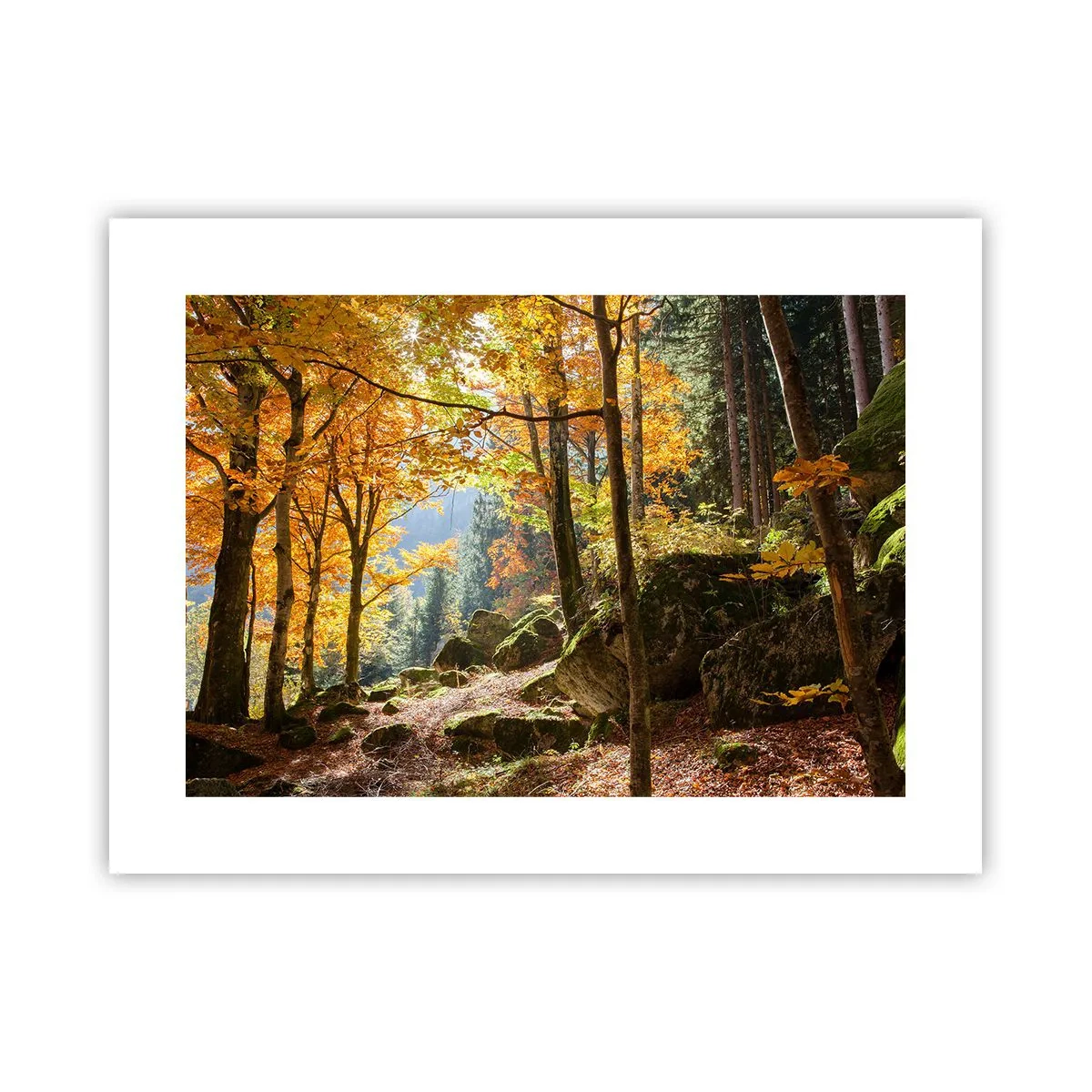 Poster - Tijd om te ontspannen - 40x30 cm