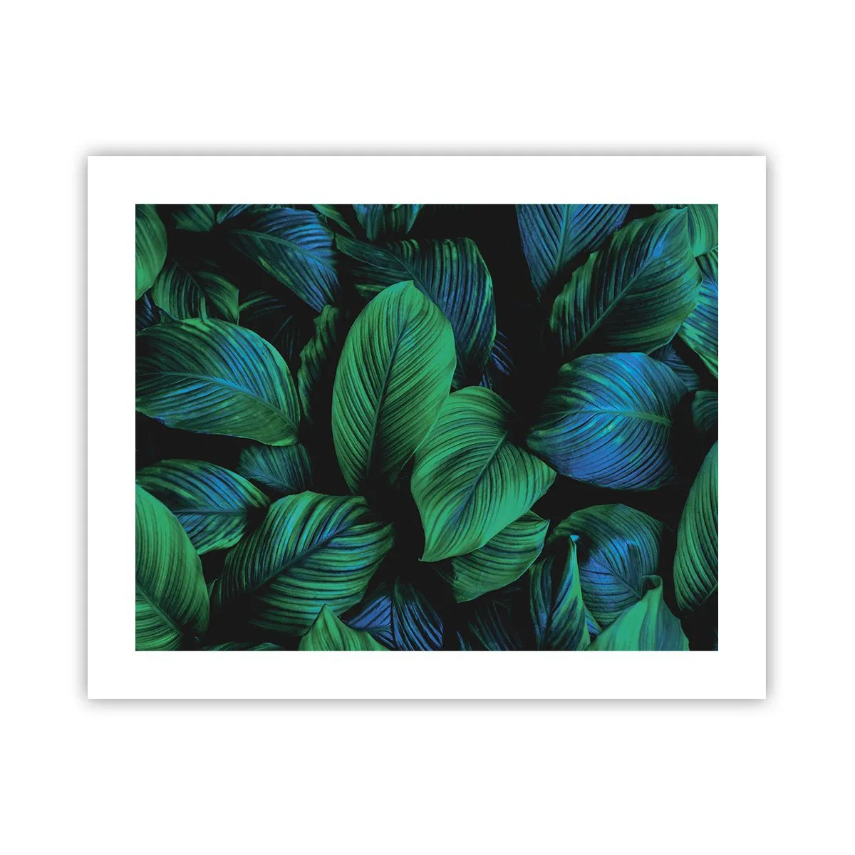 Poster - In de groene menigte - 50x40 cm