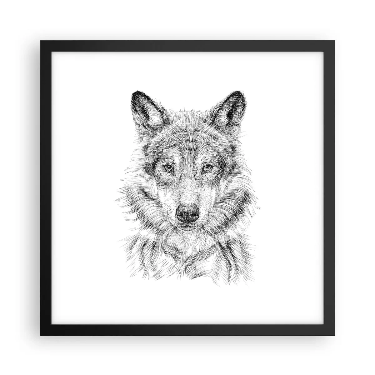 Poster in een zwarte lijst - Een geboren leider - 40x40 cm