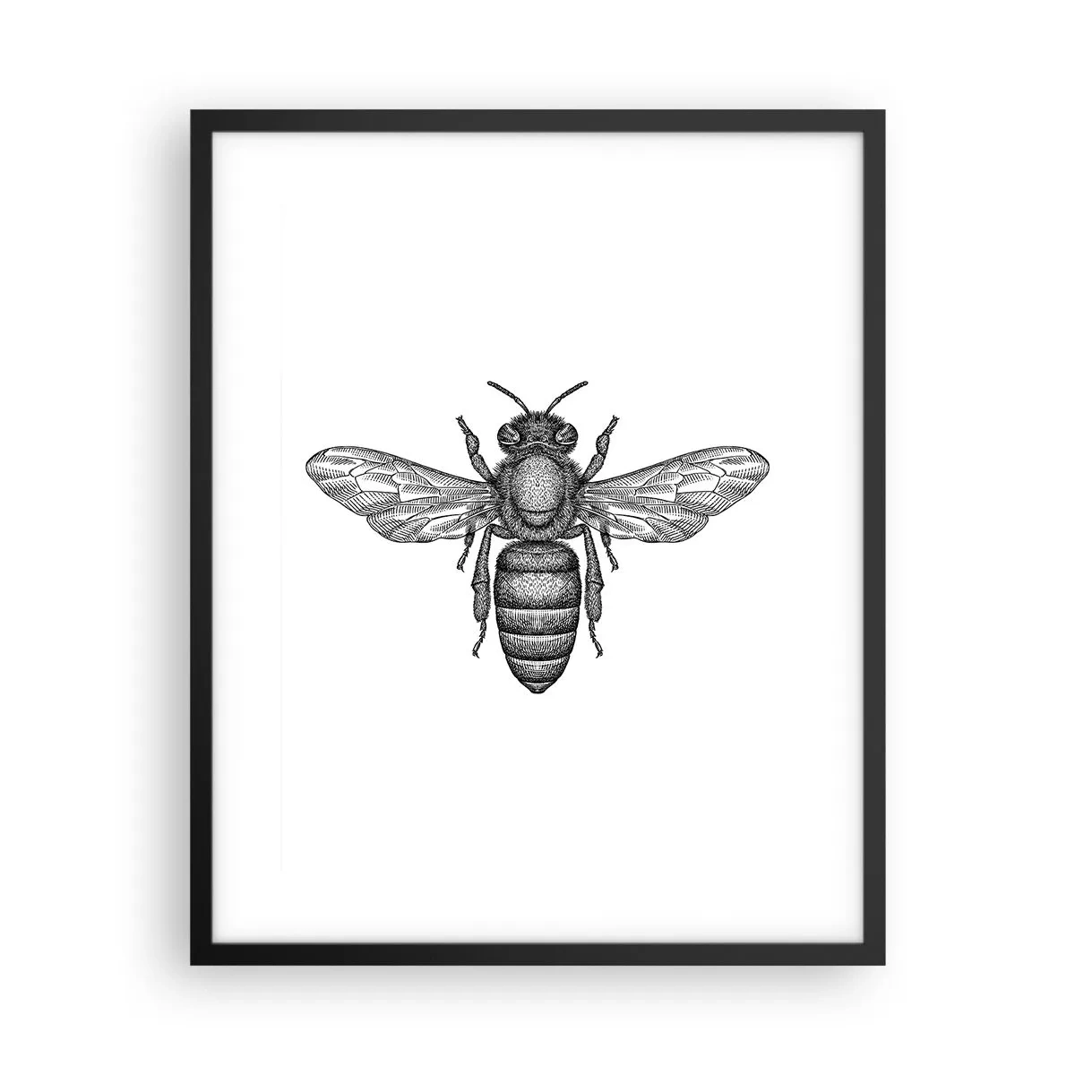 Poster in een zwarte lijst - Insectenportret - 40x50 cm