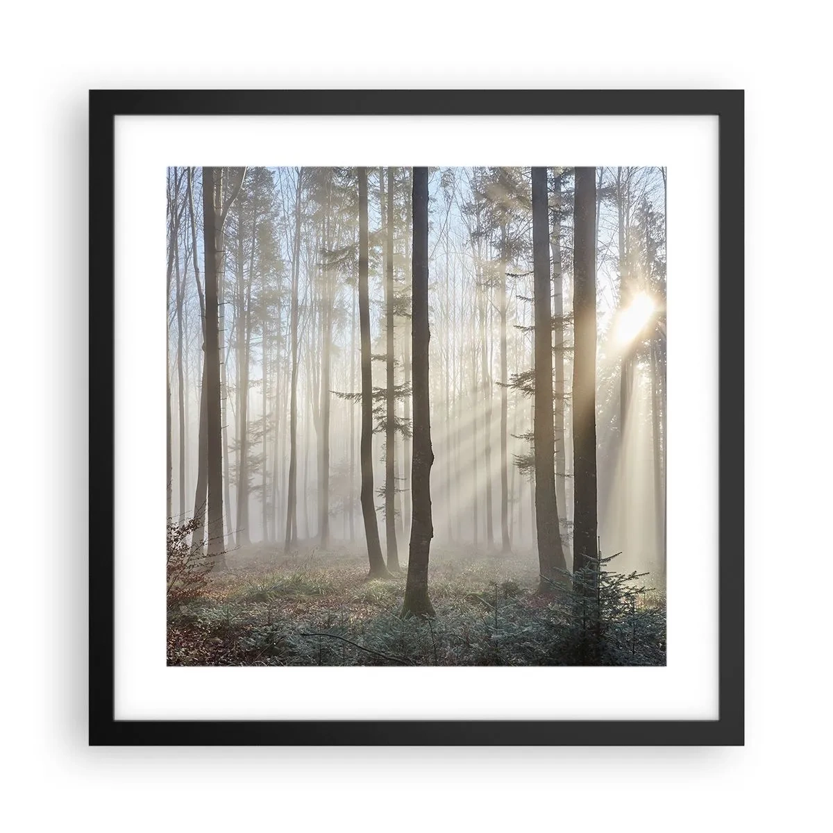 Poster in een zwarte lijst - De mist werd ook wakker - 40x40 cm