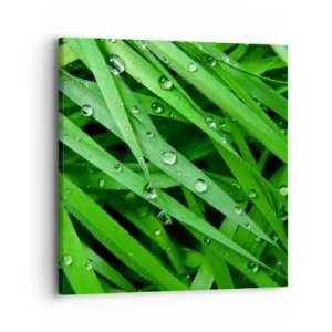 Schilderen op canvas - Speel groen - 30x30 cm