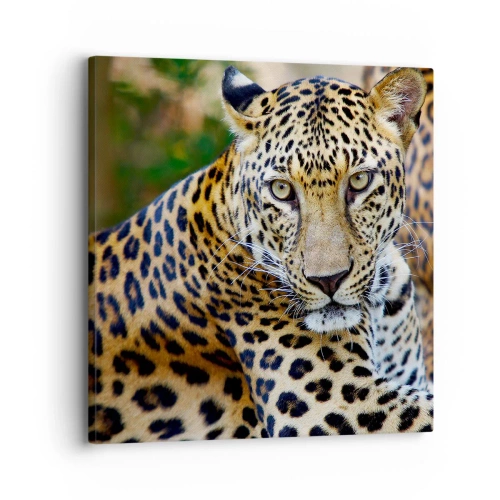Schilderen op canvas - Wild en kalm - 30x30 cm