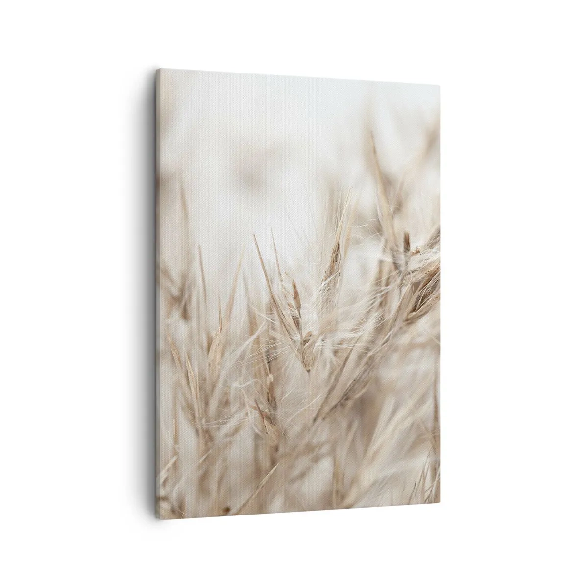 Schilderen op canvas - Weide en wind - 50x70 cm
