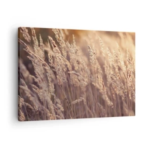 Schilderen op canvas - Gouden grassen tegen de achtergrond van de ondergaande zon - 70x50cm - Klaar om de herfst te verwelkomen - Moderne wanddecoratie voor woonkamer en slaapkamer ARTTOR