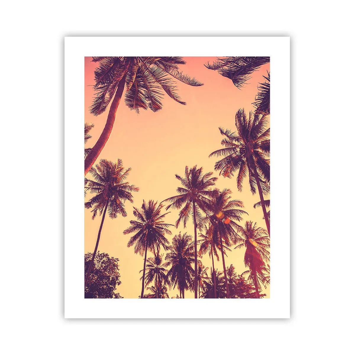 Poster - Een tropische variant - 40x50 cm