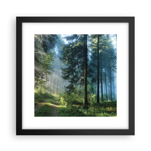 Poster in een zwarte lijst - Stralend in de ochtend - 30x30 cm