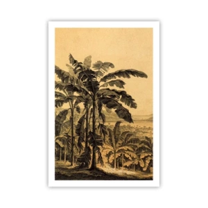 Poster - in een koloniaal klimaat - 61x91 cm