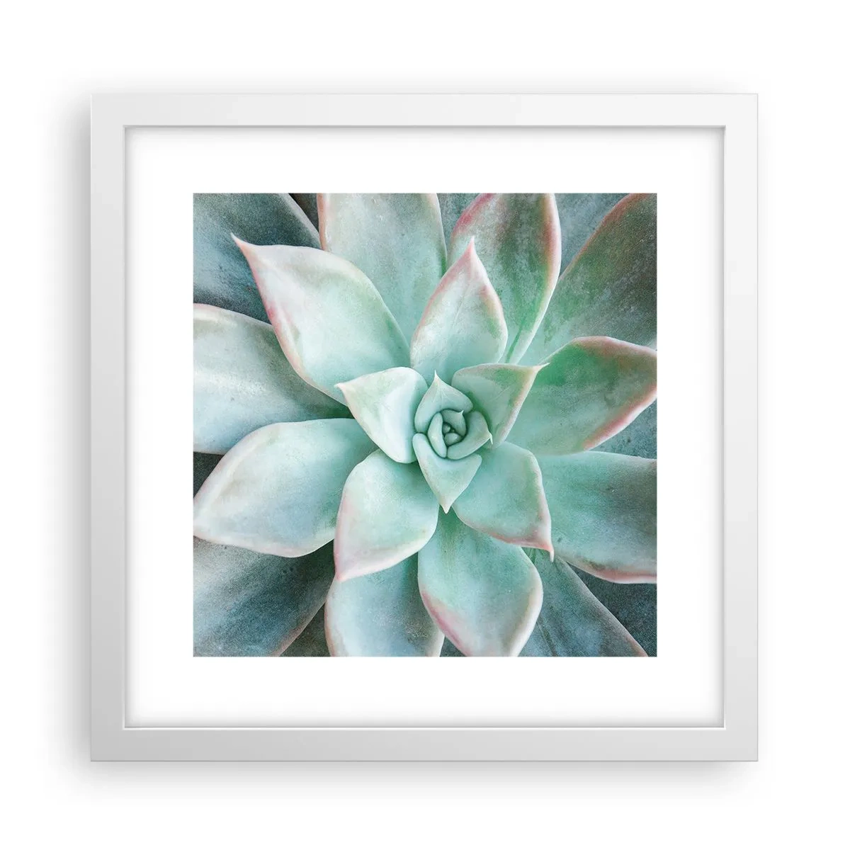 Poster in een witte lijst - Het hart van de woestijn - 30x30 cm