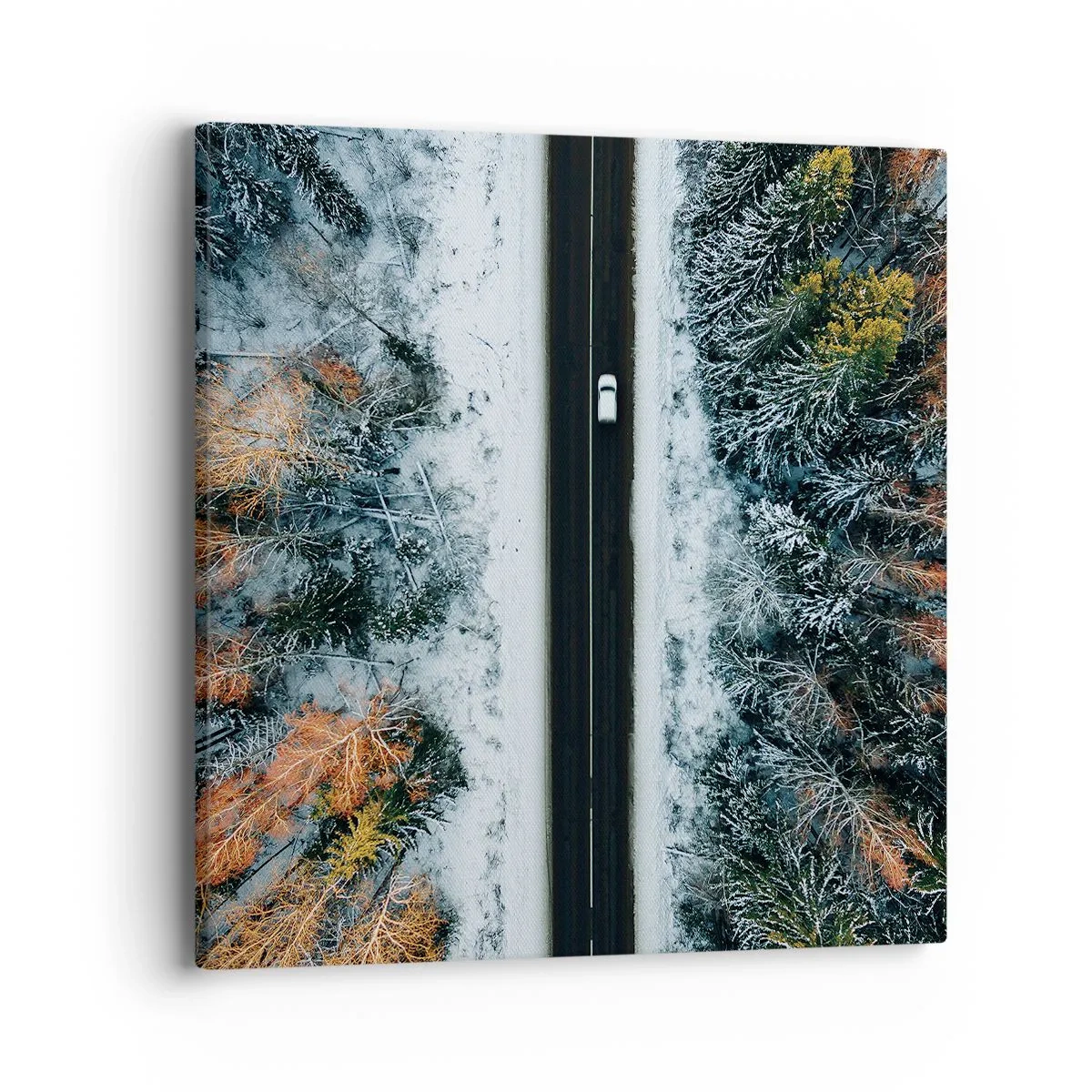 Schilderen op canvas - Snijd door het winterbos - 40x40 cm
