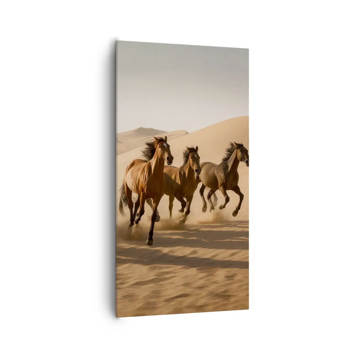 Schilderen op canvas - Vrij als de wind - 65x120 cm