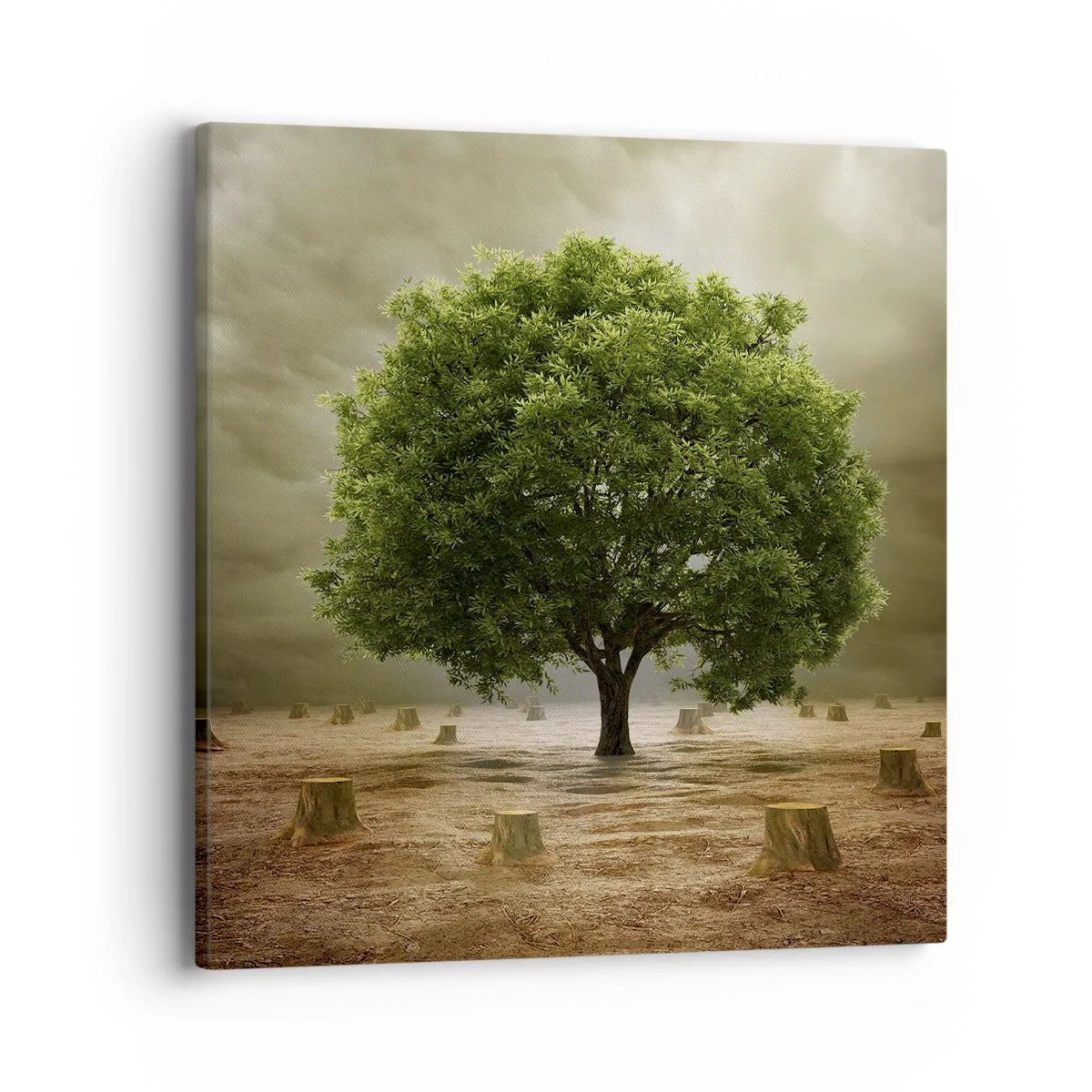 Schilderen op canvas - Alle hoop - 40x40 cm