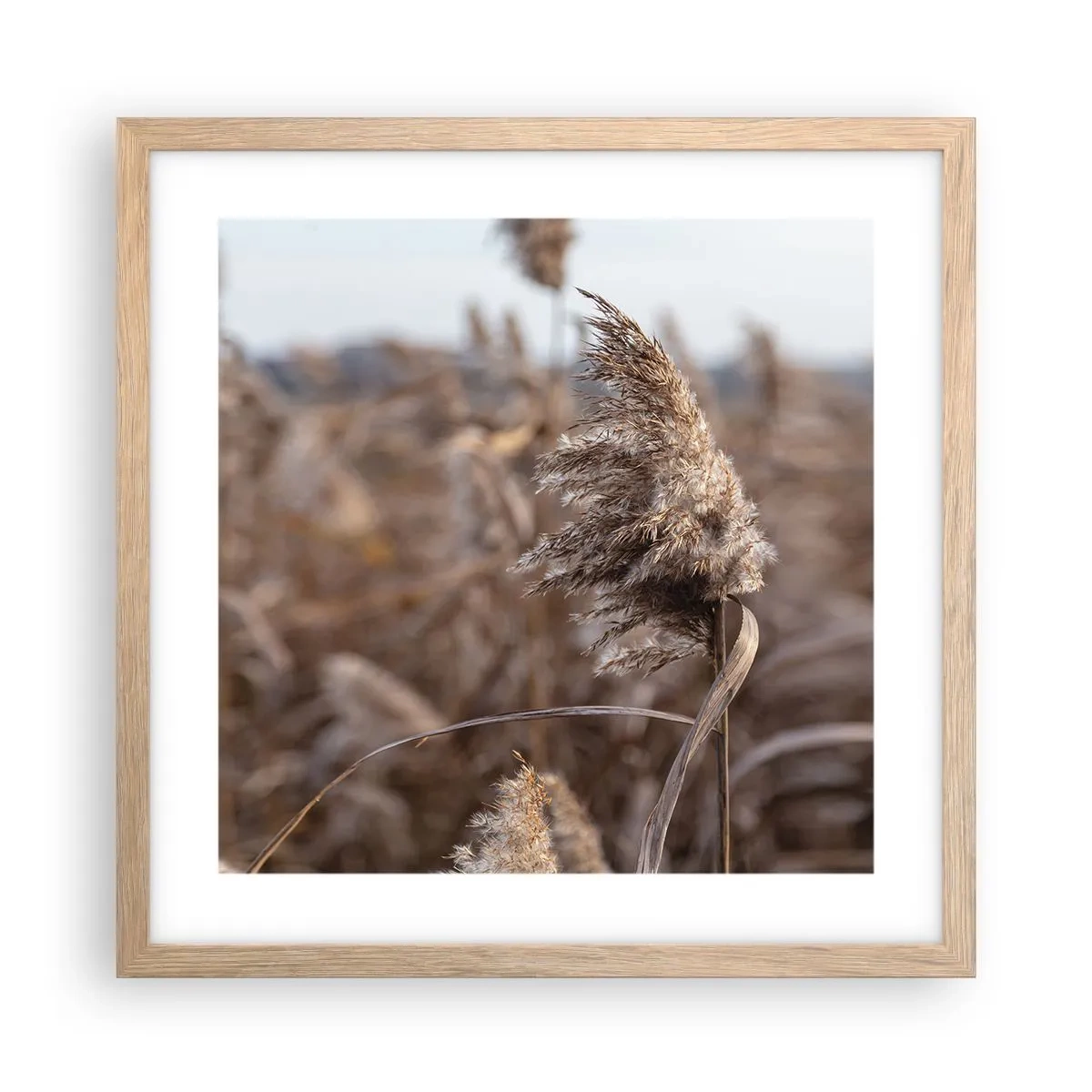 Een poster in een licht eiken lijst - Tijd om met de wind mee te gaan - 40x40 cm