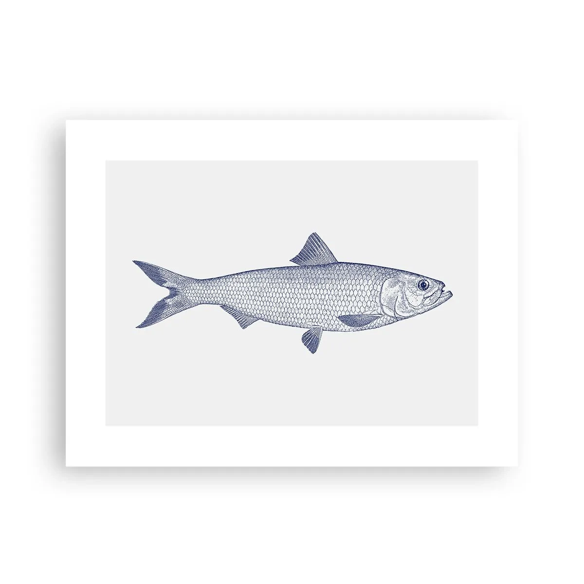 Poster - Groeten uit de noordelijke zeeën - 40x30 cm