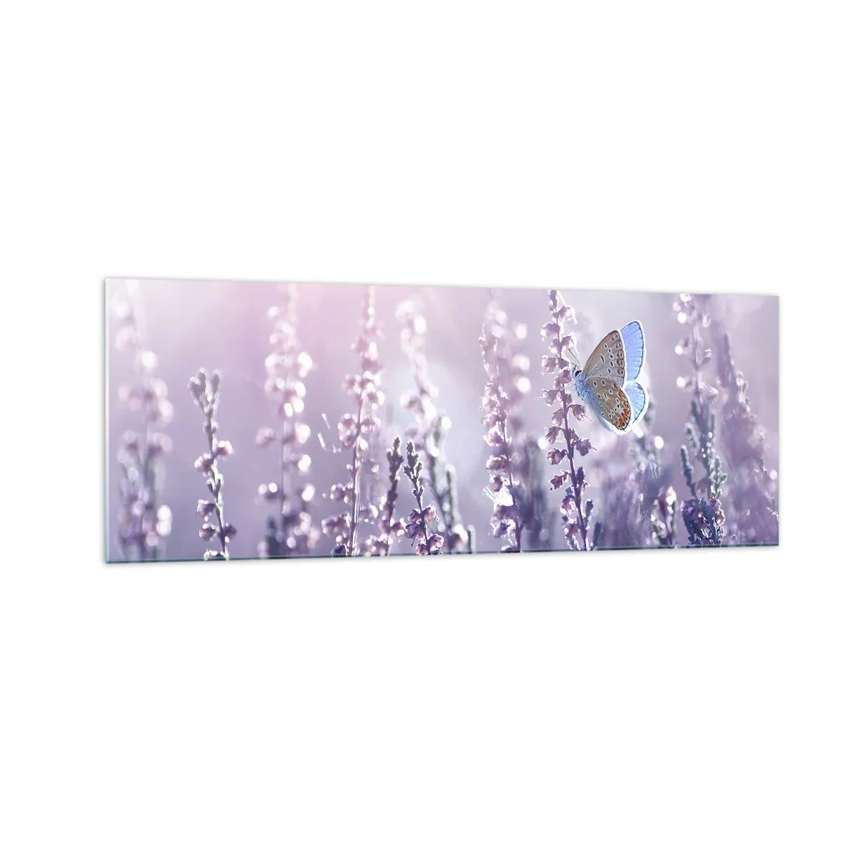 Schilderen op glas - Vlinder kus - 140x50 cm