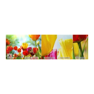 Fotobehang Monster Premium Sand - Alle kleuren van de zon - Tulpen, Bloemen, Wei - 100x30 cm