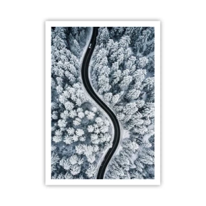 Poster - Door het winterbos - 70x100 cm